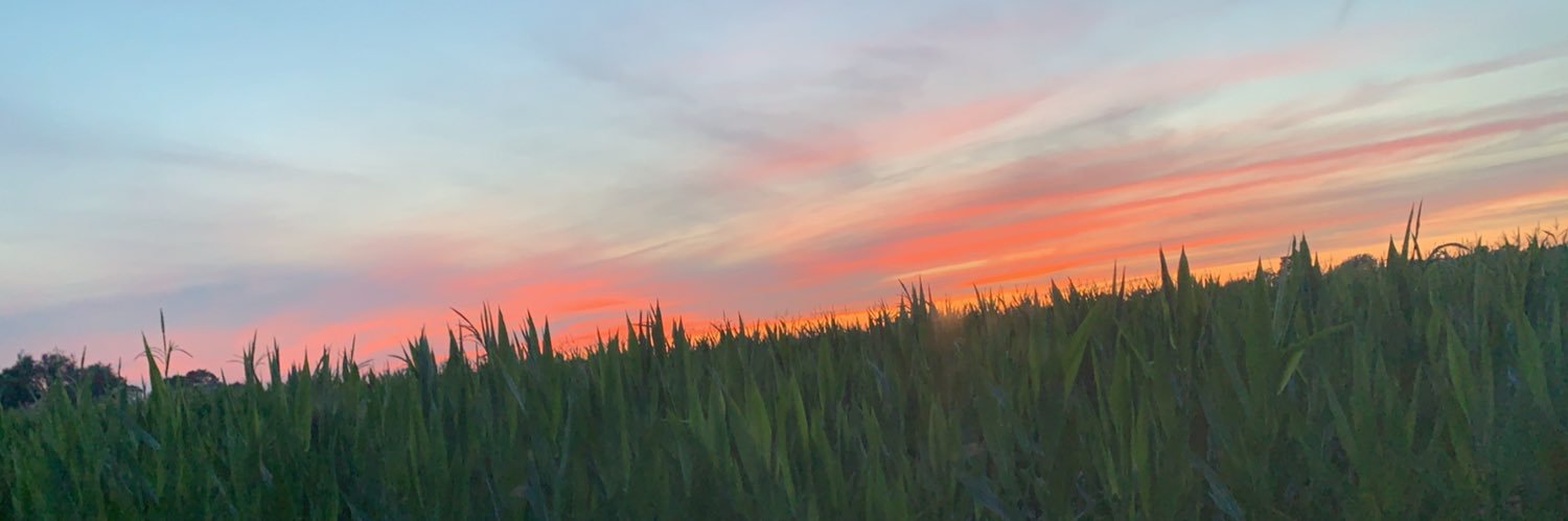 MillerRyley's profile banner image