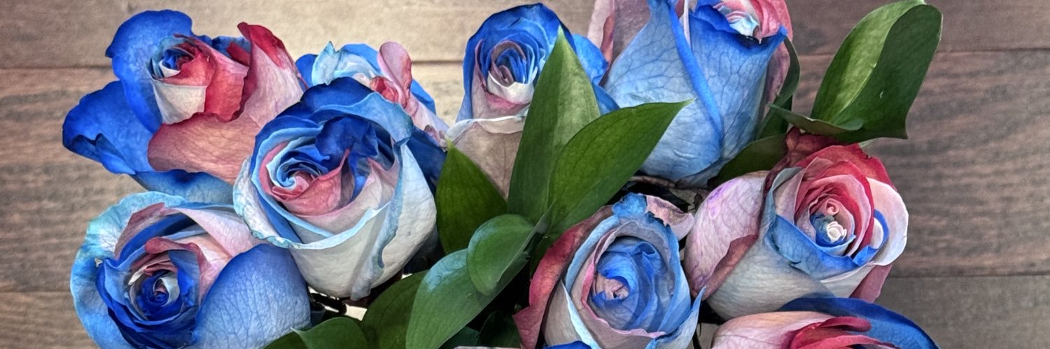 PebsFromBoston's profile banner image