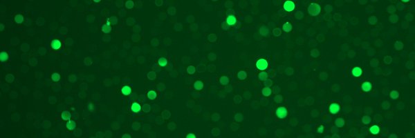 DropCodeBio Profile Banner