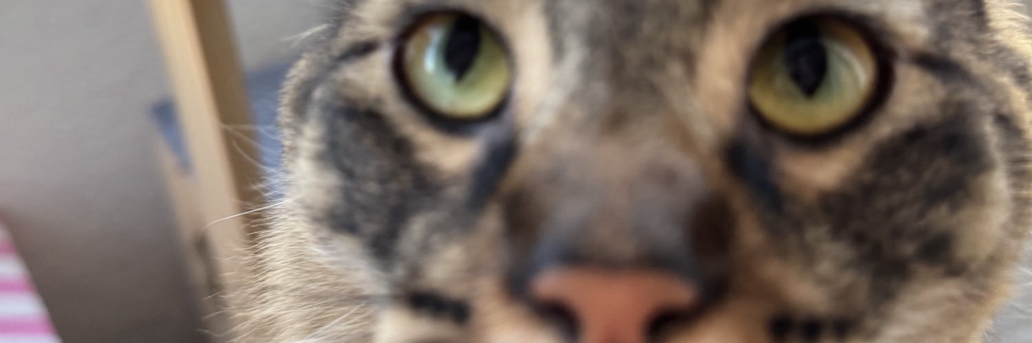 sadlibejsng's profile banner image