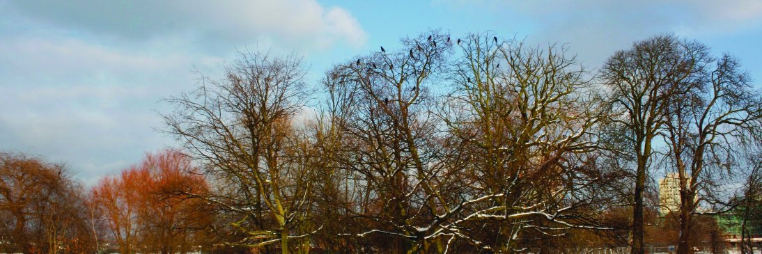 Lordship Rec Friends banner