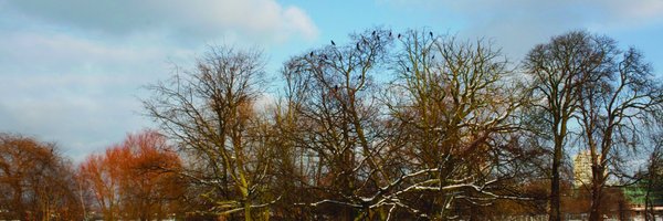 LordshipRec Profile Banner