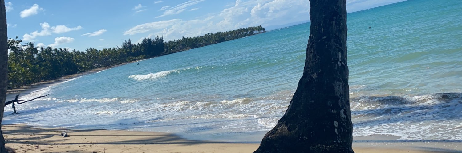 psyjrey's profile banner image