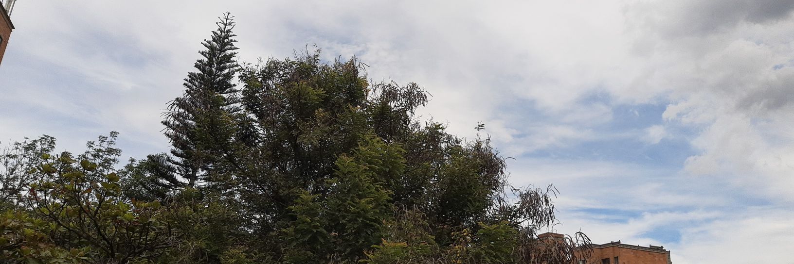 MauricioM444's profile banner image