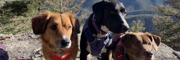 NKC_EdTech Profile Banner