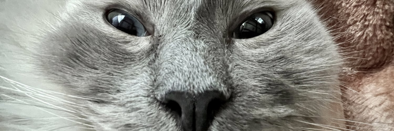 BenTroxell's profile banner image