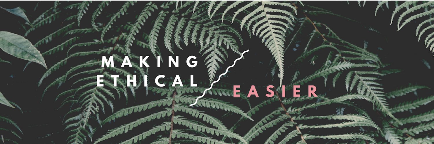 maineethics's profile banner image