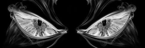 ch_o banner