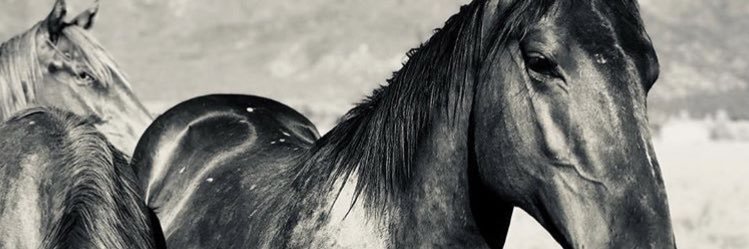 agusmenecierr's profile banner image