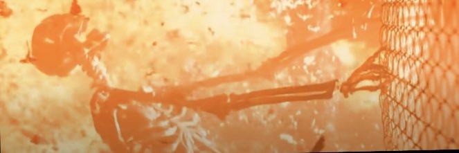 Mayo Monkey Virus banner