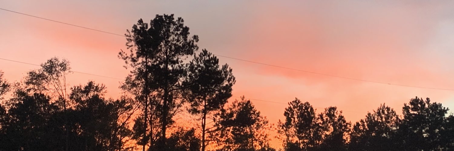 lestevens1999's profile banner image