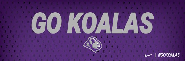 GoKoalas Profile Banner