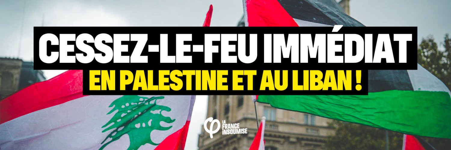 Hellemmes l'Insoumise's banner