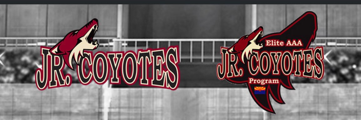 Jr. Coyotes banner