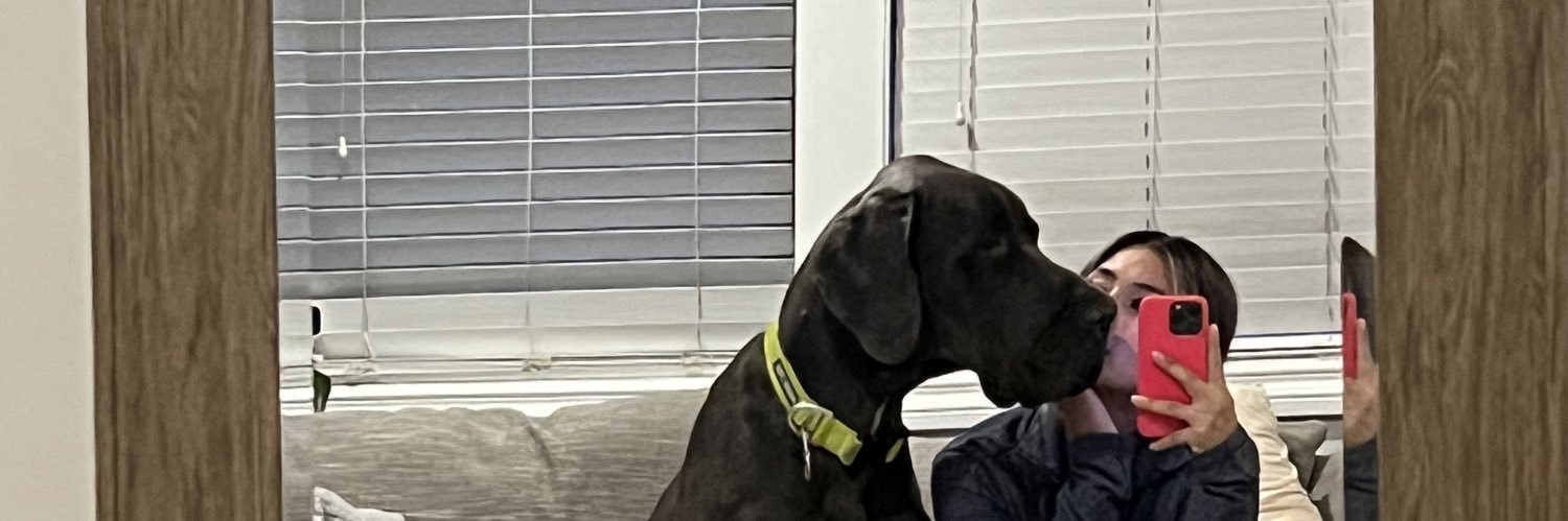 daistinez_'s profile banner image