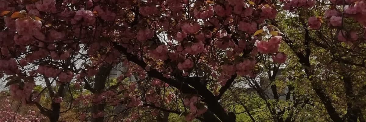 112Mishi's profile banner image
