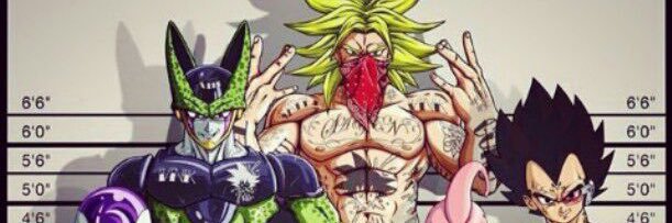 Goku y Broly's banner
