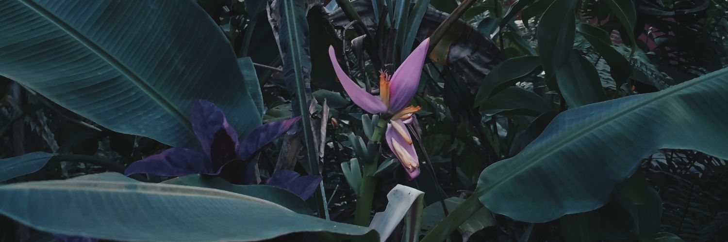 alatashe's profile banner image