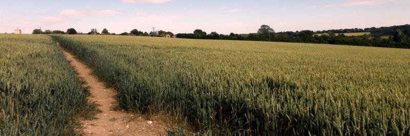 Hertfordshire.. banner