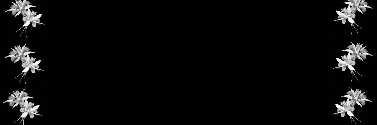 lusove1's profile banner image