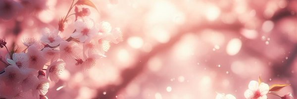 storia_ic Profile Banner