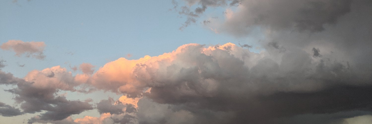 brooklyngsmith's profile banner image