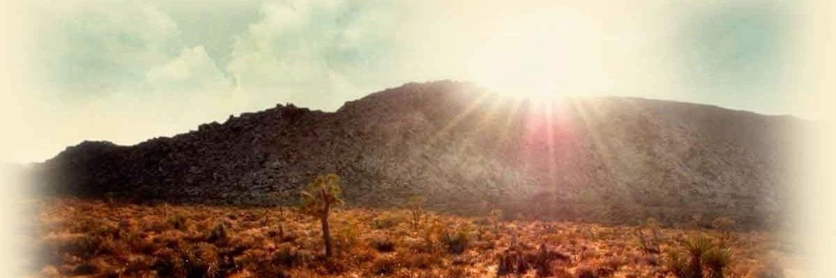 jay jurídico danger days 🐦‍⬛ banner