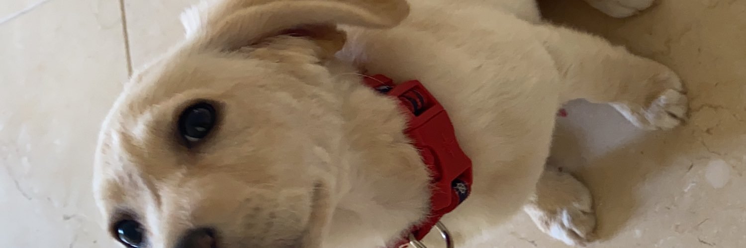 14tvVale's profile banner image
