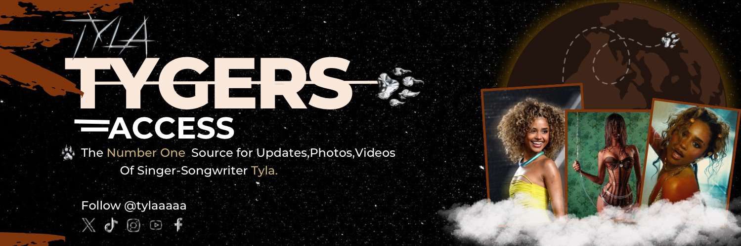 Tygers Access 🚧's banner