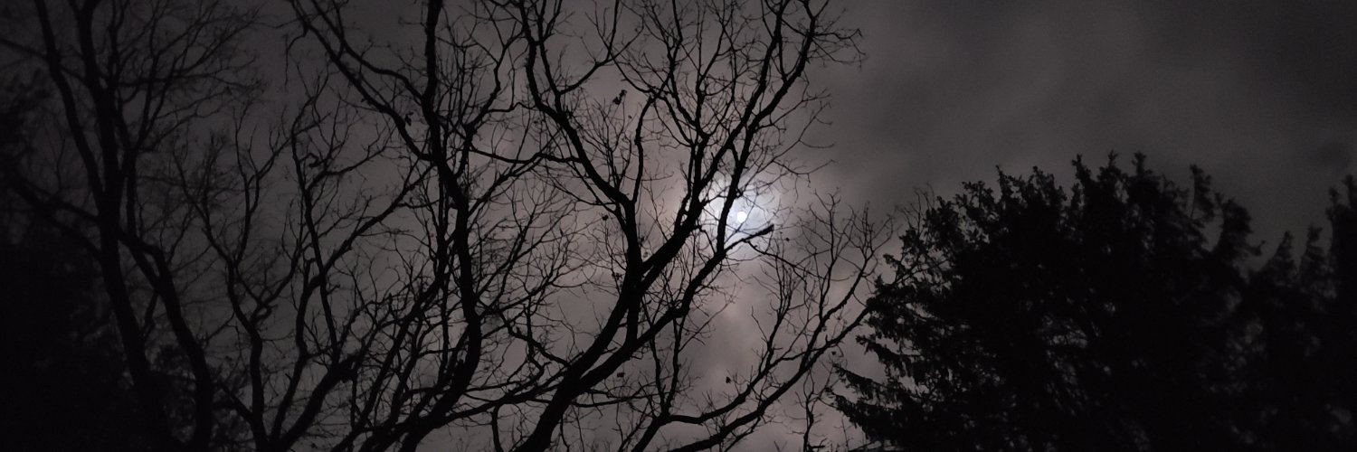 OoklaMok's profile banner image