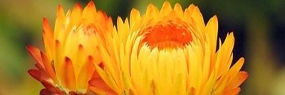 alexvinolas's profile banner image