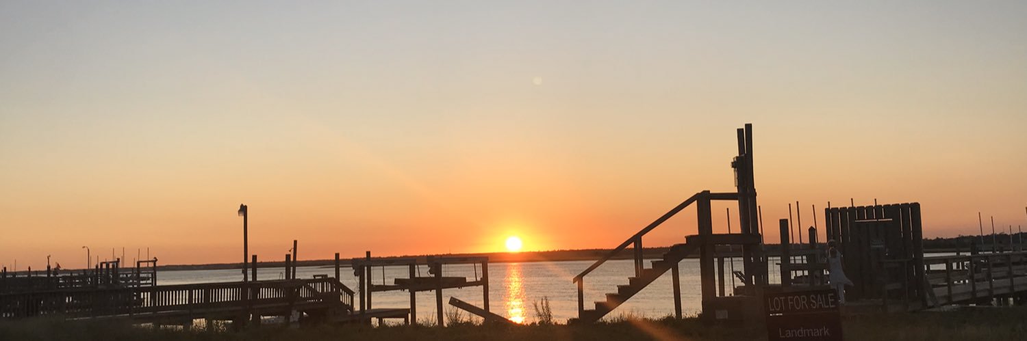 SunshineCityGal's profile banner image