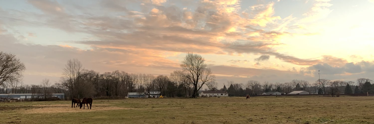 audreybaecker's profile banner image