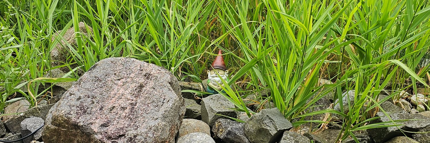 Holger Kersting banner