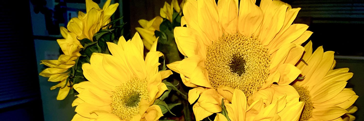 Titijayrod's profile banner image