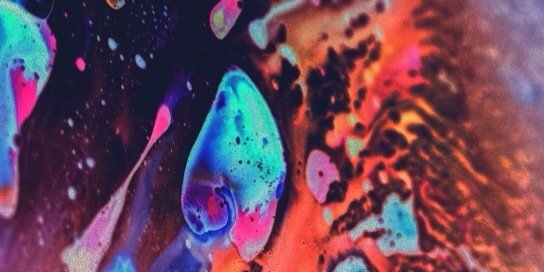 courtney banner