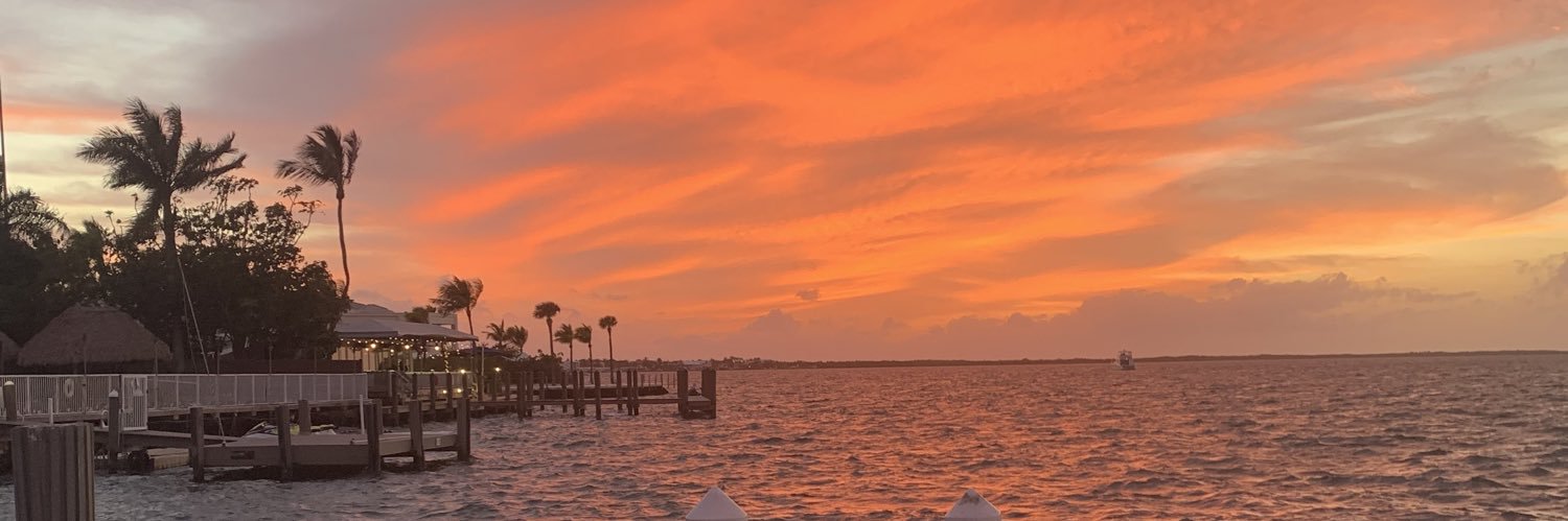 fcdbritt26's profile banner image