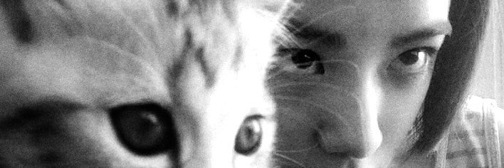 fran_x1c's profile banner image