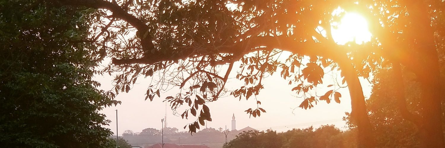auntibakofi's profile banner image