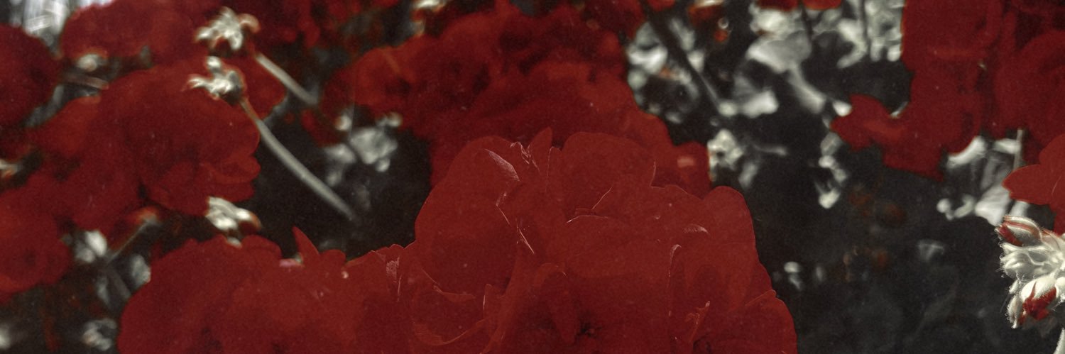 _katyykatt_'s profile banner image