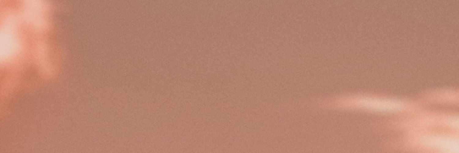 0xthebruv's profile banner image