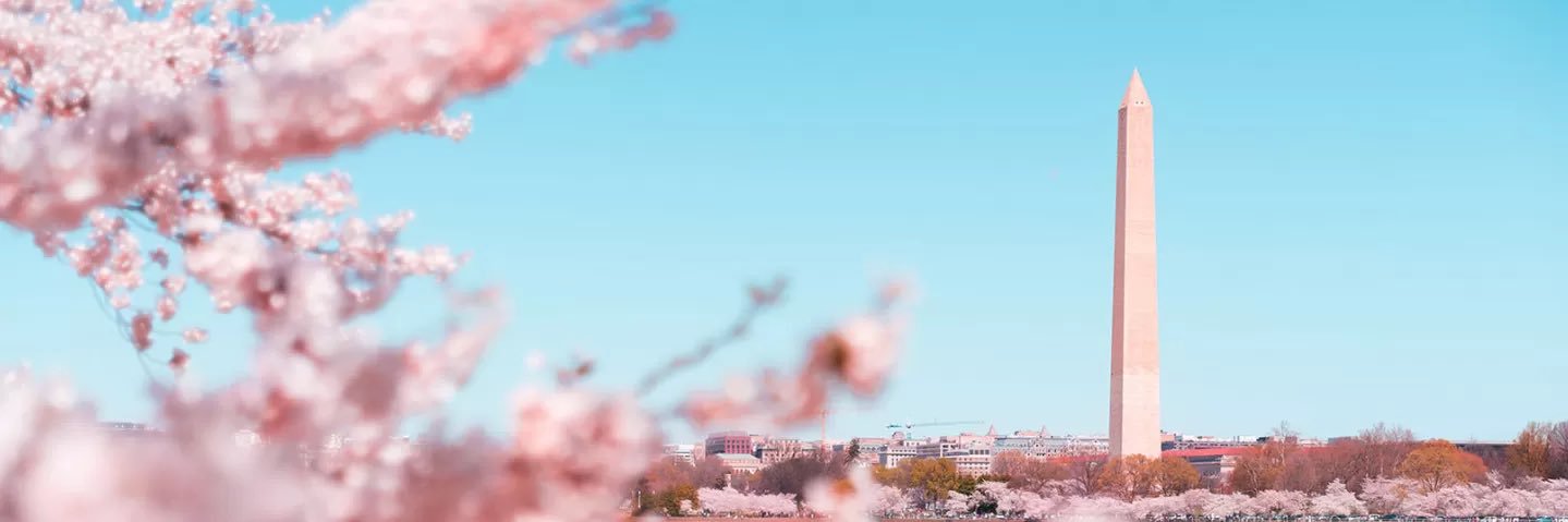 Daughters of Penelope HQ banner