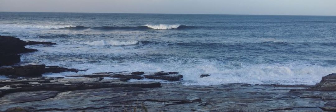 Xavier Campos banner