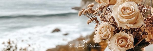 gracefully_cs Profile Banner