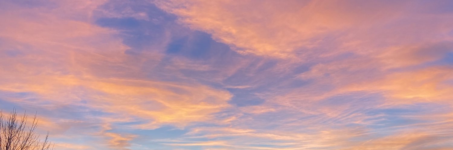 EmmyKuelbs's profile banner image