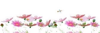 darkandddlovely's profile banner image