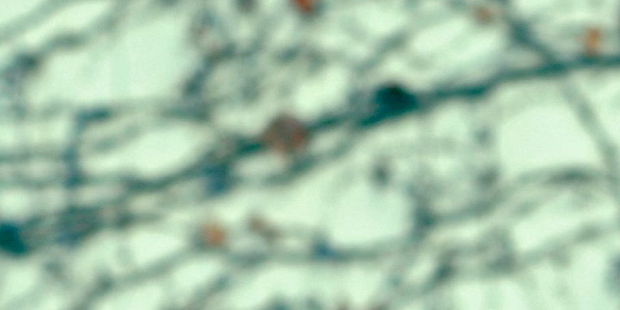 BrettBarry's profile banner image
