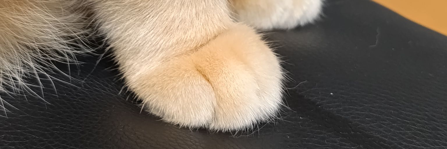 U banner