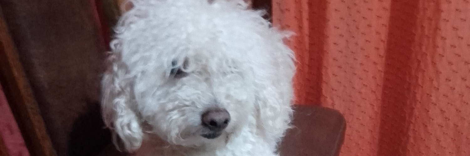 RoowGm1's profile banner image