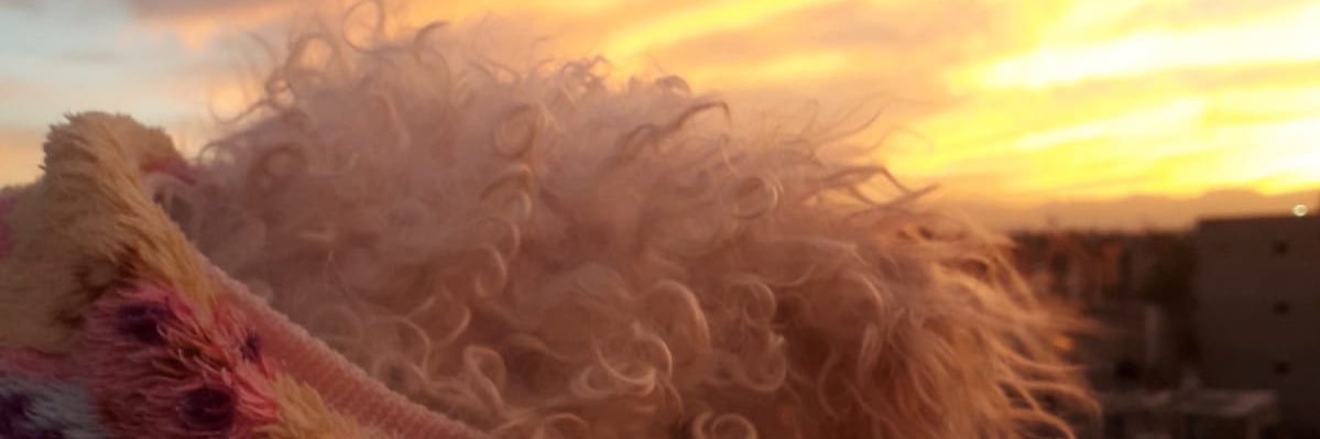 AEFN18's profile banner image